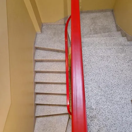Capelo Gaivota